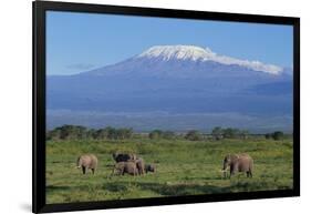 African Elephants Walking in Savanna-DLILLC-Framed Photographic Print