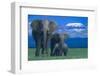 African Elephants with Calf-DLILLC-Framed Photographic Print