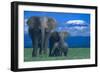 African Elephants with Calf-DLILLC-Framed Photographic Print