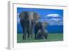 African Elephants with Calf-DLILLC-Framed Photographic Print