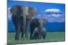 African Elephants with Calf-DLILLC-Mounted Photographic Print