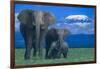 African Elephants with Calf-DLILLC-Framed Photographic Print