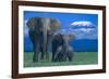 African Elephants with Calf-DLILLC-Framed Photographic Print