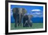 African Elephants with Calf-DLILLC-Framed Photographic Print