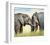 African Elephants-Sarah Stribbling-Framed Art Print