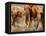 African Elephants-Martin Harvey-Framed Stretched Canvas