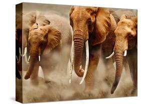 African Elephants-Martin Harvey-Stretched Canvas