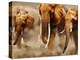 African Elephants-Martin Harvey-Stretched Canvas