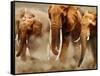 African Elephants-Martin Harvey-Framed Stretched Canvas