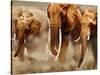 African Elephants-Martin Harvey-Stretched Canvas