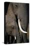 African Elephants-Paul Souders-Stretched Canvas