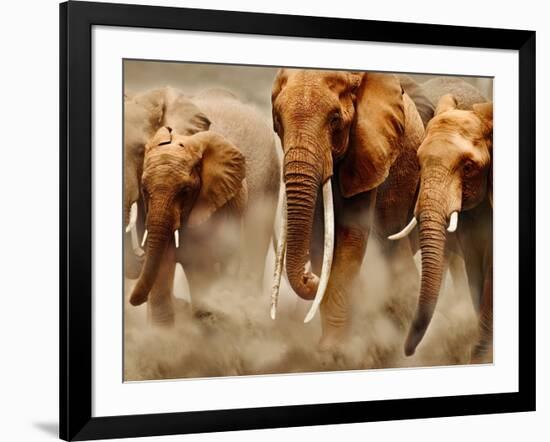 African Elephants-Martin Harvey-Framed Photographic Print