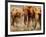 African Elephants-Martin Harvey-Framed Photographic Print