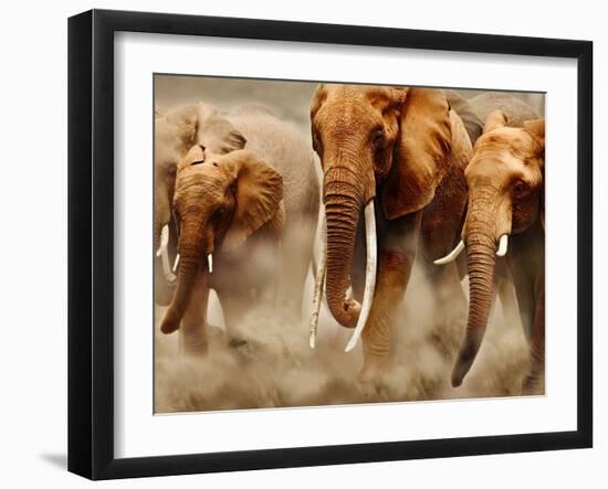 African Elephants-Martin Harvey-Framed Photographic Print