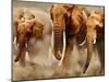African Elephants-Martin Harvey-Mounted Photographic Print