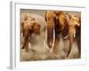 African Elephants-Martin Harvey-Framed Photographic Print