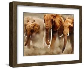 African Elephants-Martin Harvey-Framed Photographic Print