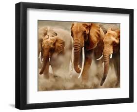 African Elephants-Martin Harvey-Framed Photographic Print