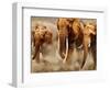 African Elephants-Martin Harvey-Framed Photographic Print