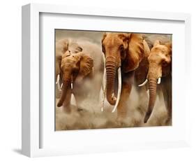 African Elephants-Martin Harvey-Framed Photographic Print