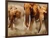 African Elephants-Martin Harvey-Framed Photographic Print