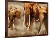 African Elephants-Martin Harvey-Framed Photographic Print