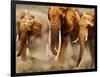 African Elephants-Martin Harvey-Framed Photographic Print