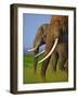 African Elephants-Martin Harvey-Framed Photographic Print