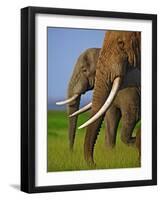 African Elephants-Martin Harvey-Framed Photographic Print