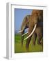 African Elephants-Martin Harvey-Framed Photographic Print