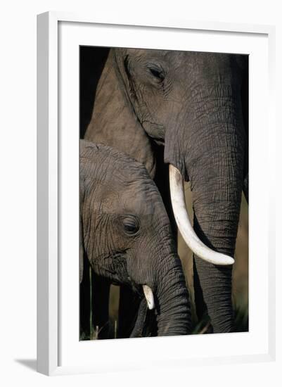 African Elephants-Paul Souders-Framed Photographic Print