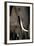 African Elephants-Paul Souders-Framed Photographic Print