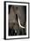 African Elephants-Paul Souders-Framed Photographic Print