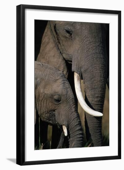 African Elephants-Paul Souders-Framed Photographic Print