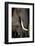 African Elephants-Paul Souders-Framed Photographic Print