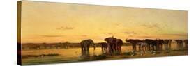 African Elephants-Charles Emile De Tournemine-Stretched Canvas