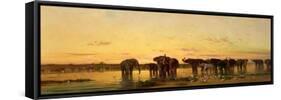 African Elephants-Charles Emile De Tournemine-Framed Stretched Canvas