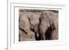 African Embrace-Marcus Prime-Framed Art Print