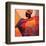 African Fire-Joadoor-Framed Art Print