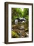 African Fish Eagle in Flight over Lush Forest Waterfall Landscape-Veneratio-Framed Photographic Print