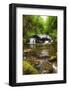 African Fish Eagle in Flight over Lush Forest Waterfall Landscape-Veneratio-Framed Photographic Print