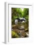 African Fish Eagle in Flight over Lush Forest Waterfall Landscape-Veneratio-Framed Photographic Print