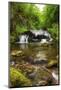 African Fish Eagle in Flight over Lush Forest Waterfall Landscape-Veneratio-Mounted Photographic Print