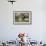 African Fish Eagle, Makgadikgadi Pans National Park, Botswana-Paul Souders-Framed Photographic Print displayed on a wall