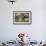 African Fish Eagle, Makgadikgadi Pans National Park, Botswana-Paul Souders-Framed Photographic Print displayed on a wall