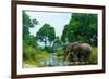 African forest elephant, in Lekoli River. Odzala-Kokoua National Park. Congo-Roger De La Harpe-Framed Photographic Print