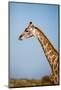 African Giraffe-Michele Westmorland-Mounted Photographic Print