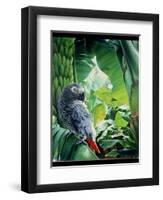 African Grey Parrot, 1990-Sandra Lawrence-Framed Giclee Print