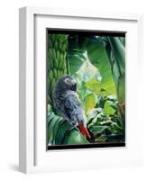 African Grey Parrot, 1990-Sandra Lawrence-Framed Giclee Print