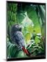 African Grey Parrot, 1990-Sandra Lawrence-Mounted Giclee Print